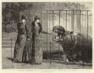 Sunday Afternoon at the Zoological Gardens, Beauty and the Beast